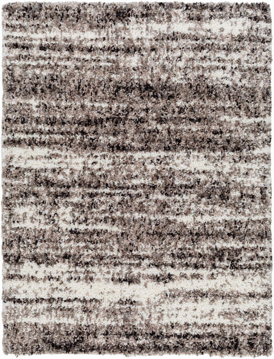 Sample Admon Brown Plush Area Rug