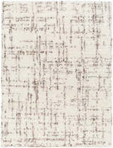 Sample Asimo Area Rug - Clearance