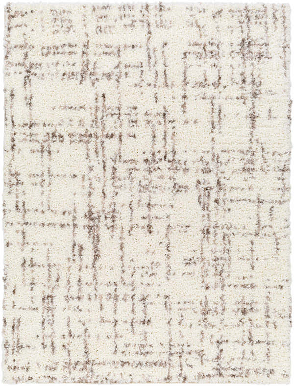 Sample Asimo Area Rug - Clearance