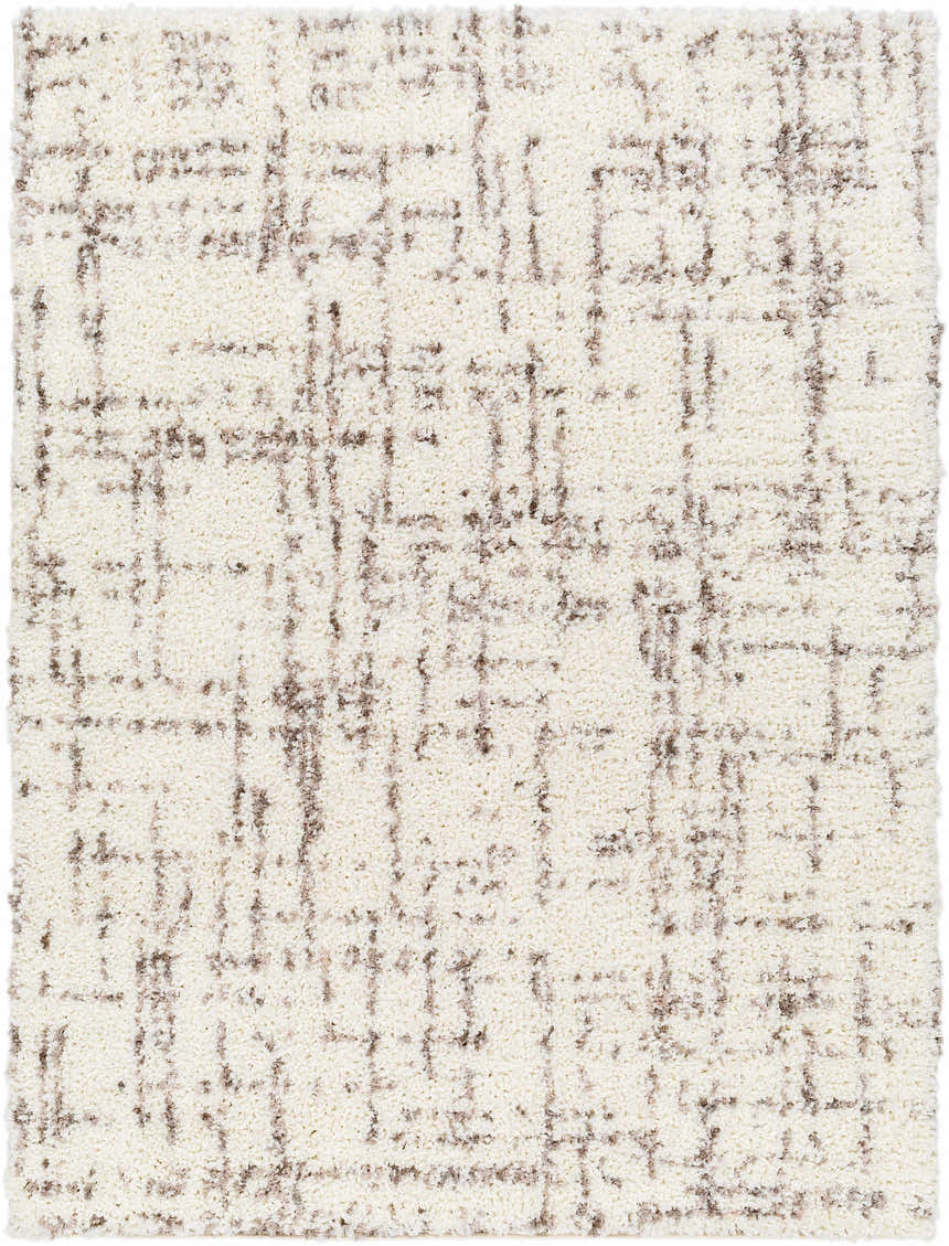 Sample Asimo Area Rug - Clearance