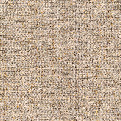 Sample Amiel Beige Hand Woven Area Rug