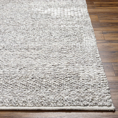 Amon Area Rug