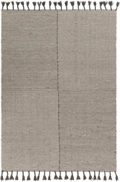 Sample Abhay Gray Wool Area Rug