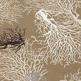 Close-up of Dalyn Seabreeze SZ3 Taupe Washable Area Rug. Beige rug with ivory and black coral branch pattern. Coastal style.