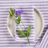 Amalfi Stripe Napkins
