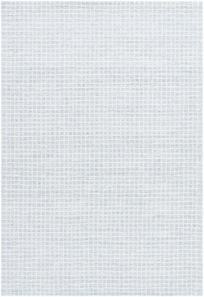 Anahid Light Gray Area Rug - Vivir x Livabliss