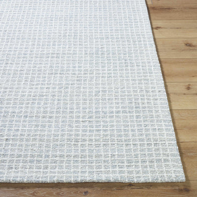 Anahid Light Gray Area Rug - Vivir x Livabliss