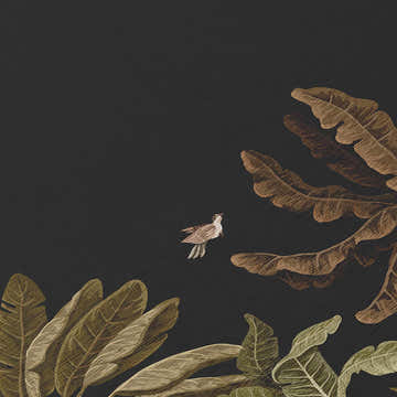 Close-up of Dalyn Tropics TC8 Black Washable Area Rug. Features a tropical leaf and bird pattern in aloe, beige, and brown tones.