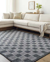 Sample Thijs Area Rug - Clearance