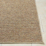 Thanh Beige Area Rug