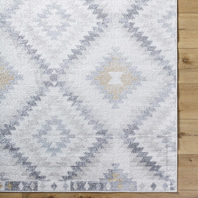 Sample Tyipa Area Rug