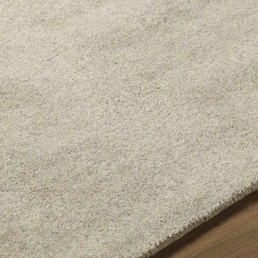 Torin Area Rug