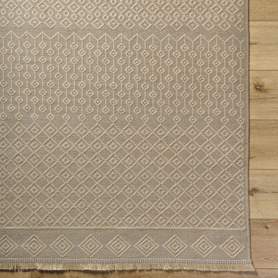 Sample Tolla Washable Area Rug