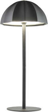 Terriente Black Table Lamp