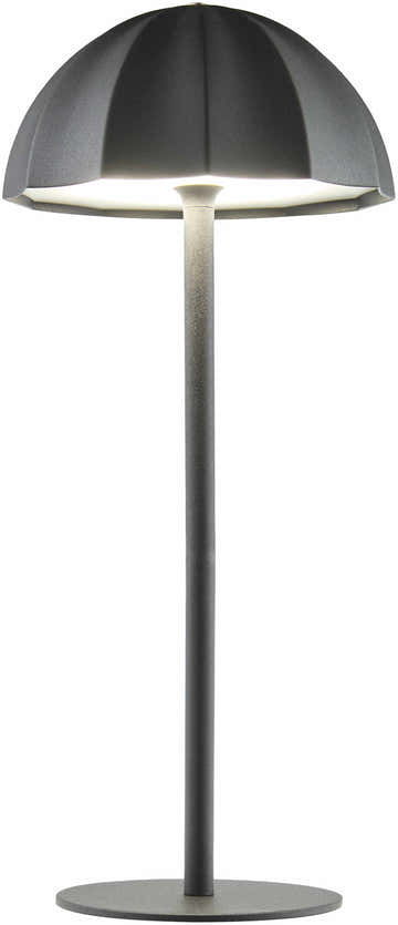 Terriente Black Table Lamp