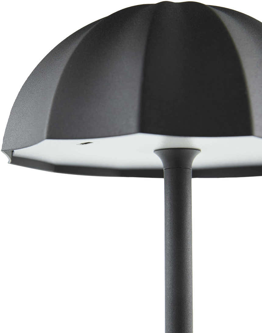 Terriente Black Table Lamp