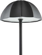 Terriente Black Table Lamp
