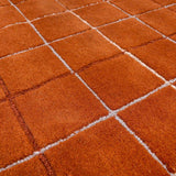 Toshi Rust Area Rug