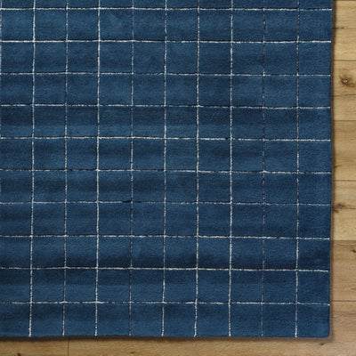 Sample Toshi Blue Area Rug