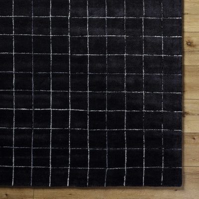 Sample Toshi Area Rug