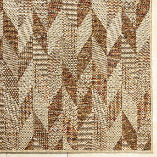 Sample Andrea Burnt Sienna Area Rug