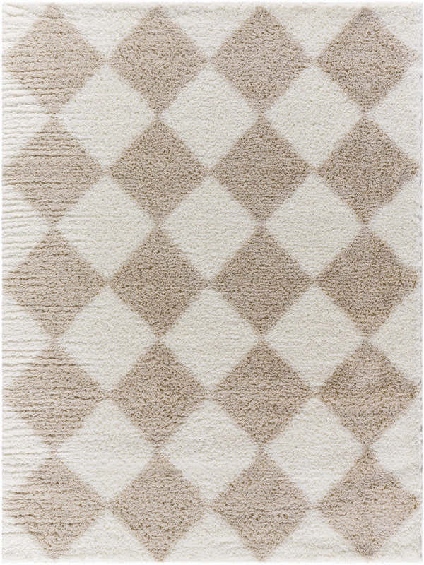 Close-up of the Achaia Beige Area Rug, showcasing its diamond pattern and soft shag texture in beige, ivory, and medium brown. Design-Rectangle-537