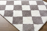 Achaia Dark Gray Area Rug
