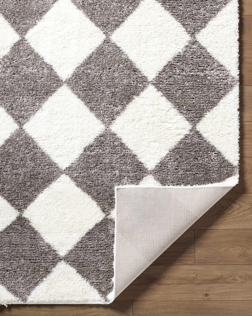 Achaia Dark Gray Area Rug