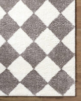 Achaia Dark Gray Area Rug