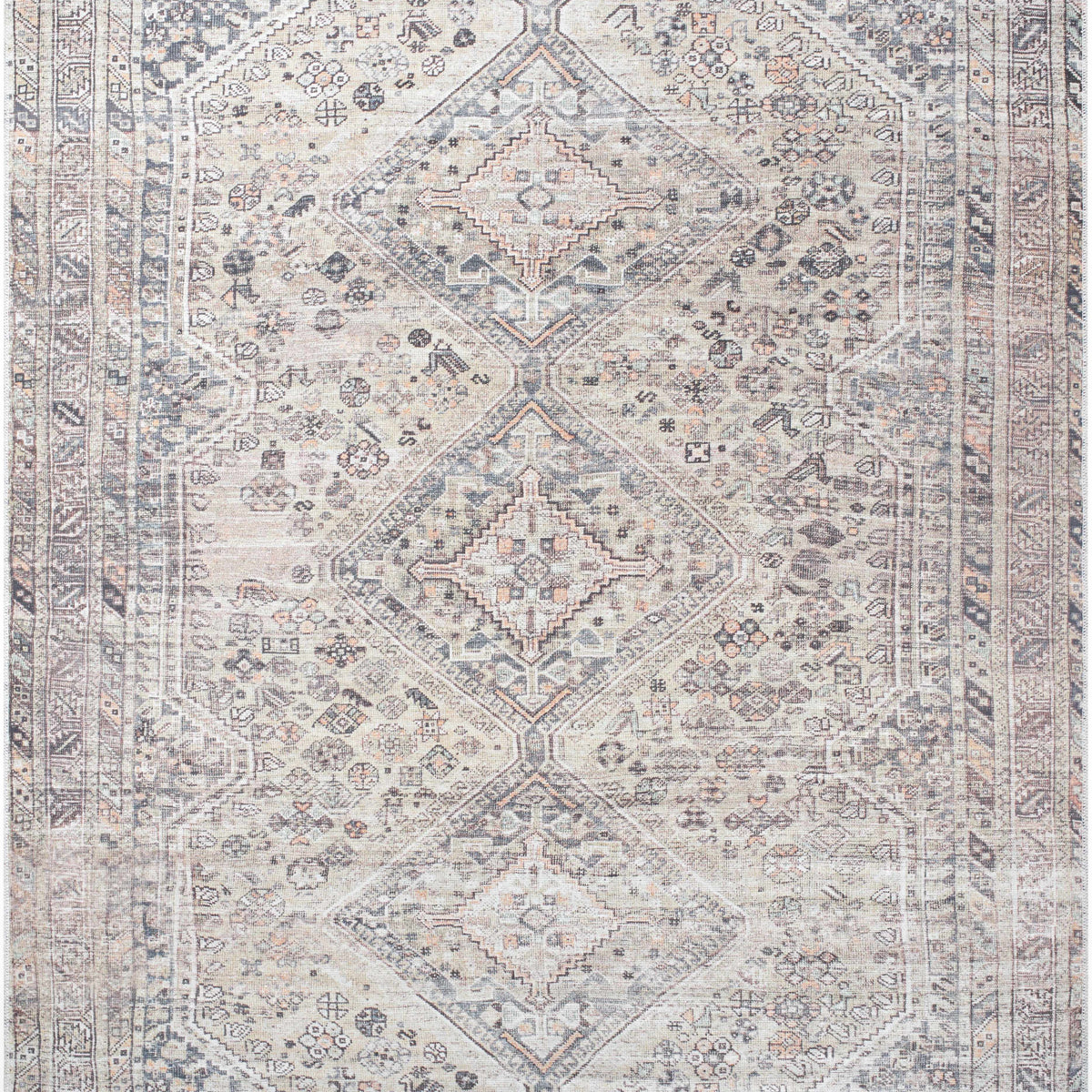 Trula Washable Area Rug - Vivir x Livabliss – Boutique Rugs