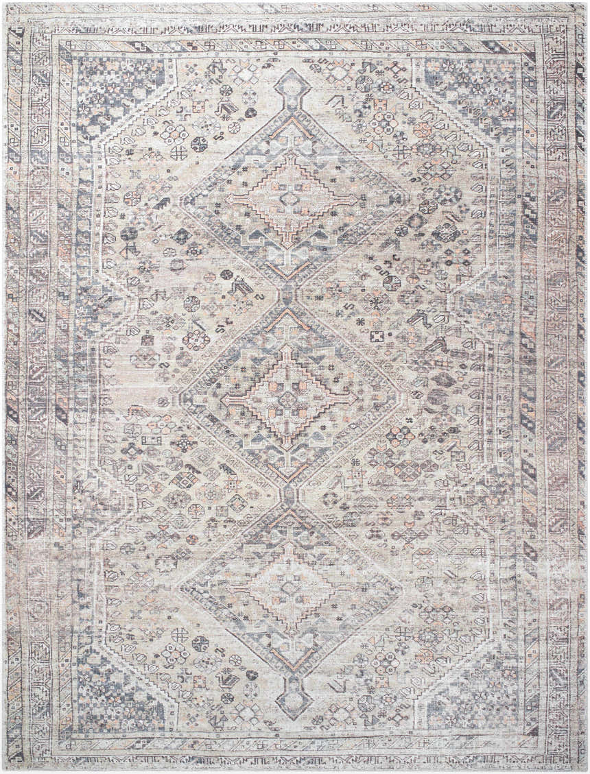 Close-up of the Trula Washable Area Rug - Vivir x Livabliss. Beige and light gray traditional farmhouse pattern. Design-Rectangle-71010