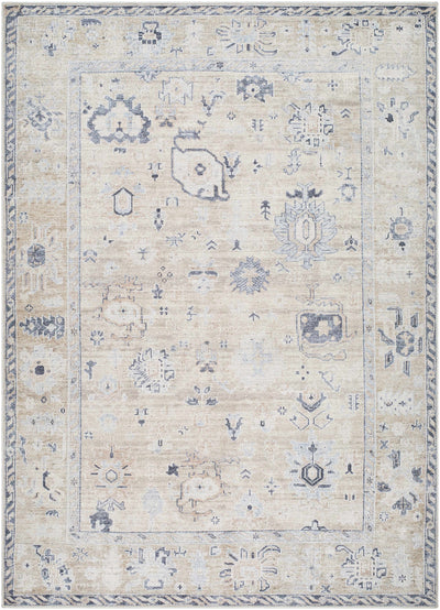 Sample Toddy Area Rug