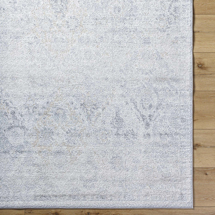 Sample Totsi Area Rug - Clearance