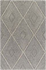 Sample Tene Tufted Wool Area Rug