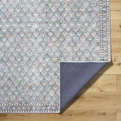 Telma Washable Area Rug