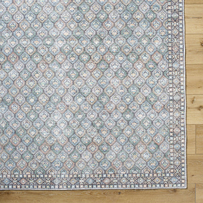 Telma Washable Area Rug