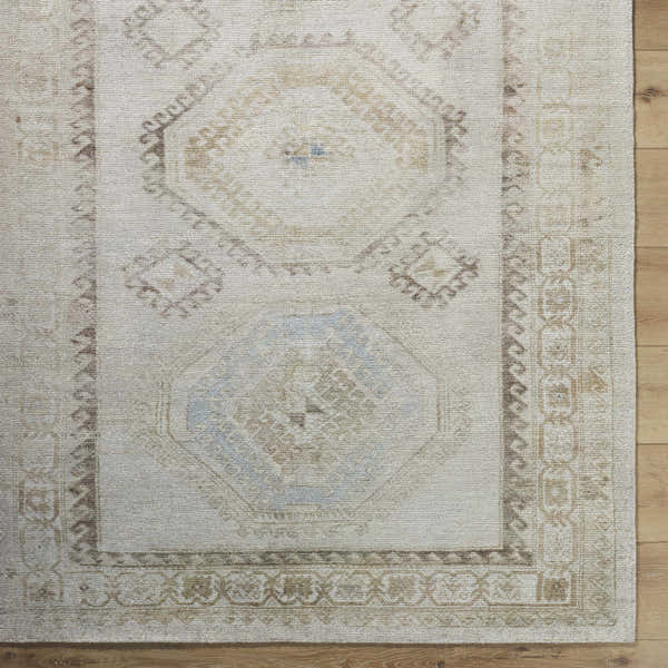 Sample Tarun Traditional Area Rug