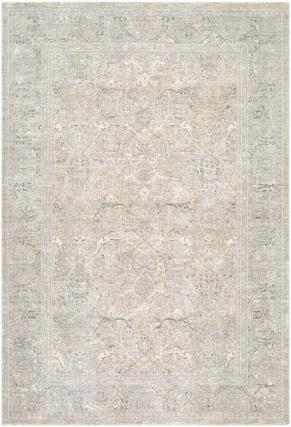 Close-up of Tarin Beige Area Rug. Farmhouse style, machine woven with ivory, medium gray, and sandstone colors. Traditional pattern. Design-Rectangle-6796