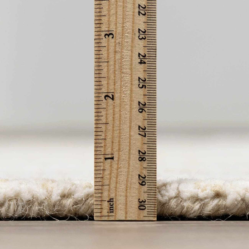 Teige Light Silver Area Rug