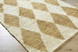 Tivka Diamond Checkered Wool Rug