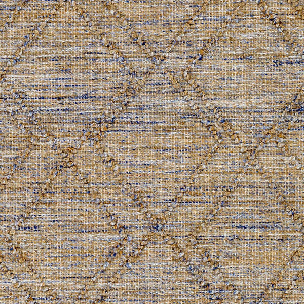 Sample Buse Hand Woven Beige & Blue Area Rug