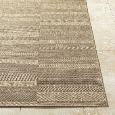 Thana Brown Area Rug