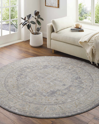 Ulubey Distressed Gray Area Rug