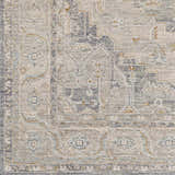 Sample Ulubey Distressed Gray Thick Luxe Area Rug