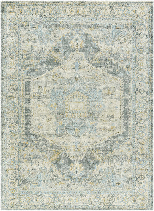 Sample Vaeda Blue Medallion Area Rug