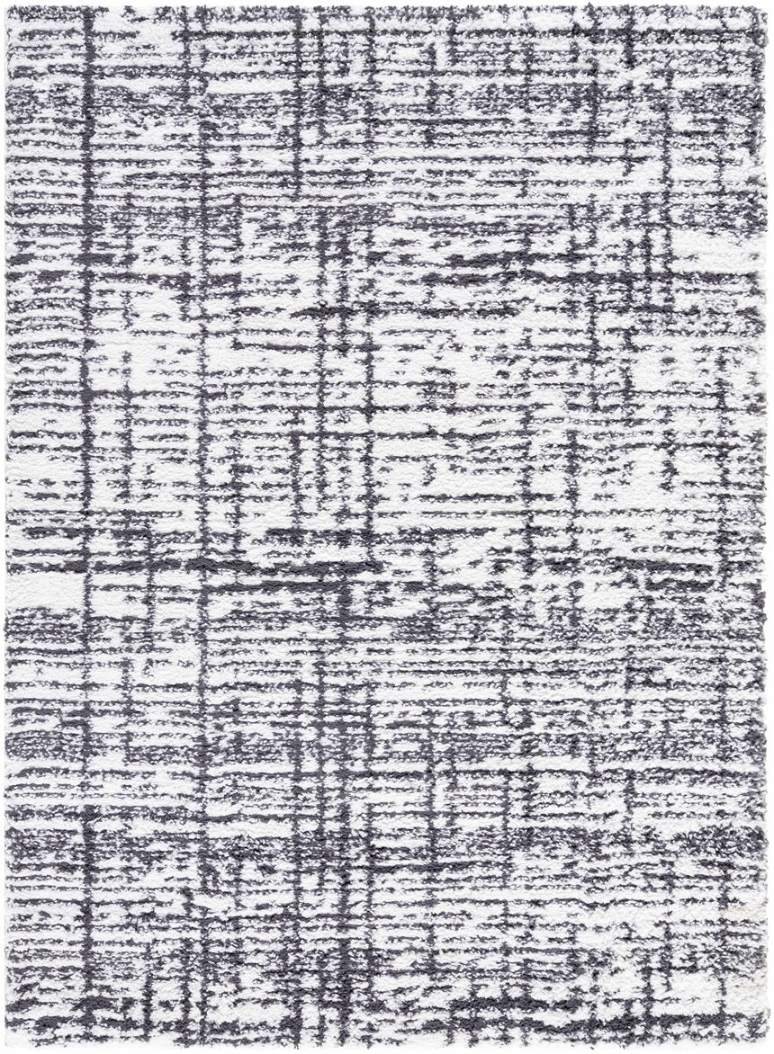 Anisha Black Area Rug