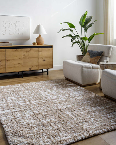 Anisha Brown Area Rug