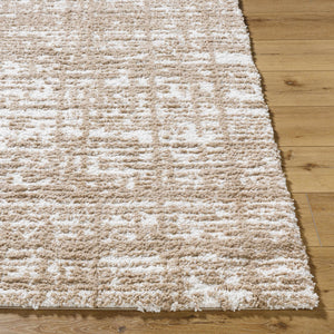 Anisha Brown Area Rug