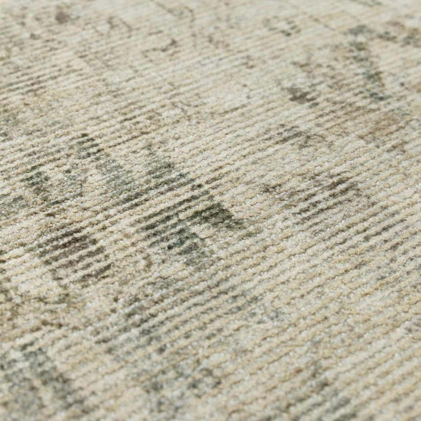 Close-up of the Fetscher II Vintage Medallion Area Rug, showing beige, light brown, and olive tones, and woven texture. Texture