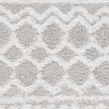 Sample Vernonburg Shag Area Rug